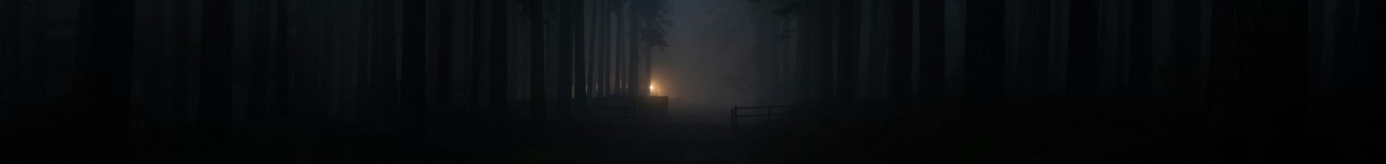 silhouette of person standing on forest during night time